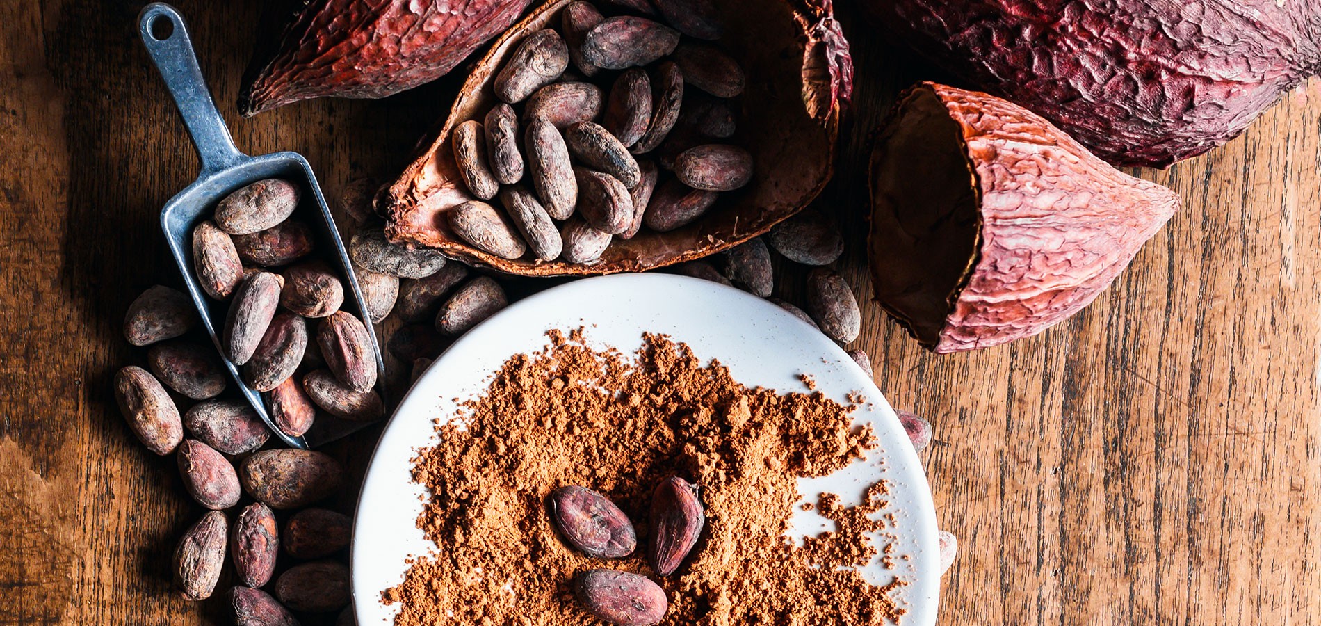  Ezta Agro | Natural, Safe and Healthy Cocoa Products & Gluten-Free Products